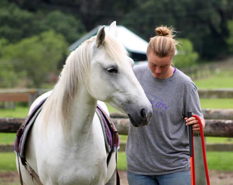 Zania Playing The Parelli Seven Games And Started Under Saddle Horse Protection Flx