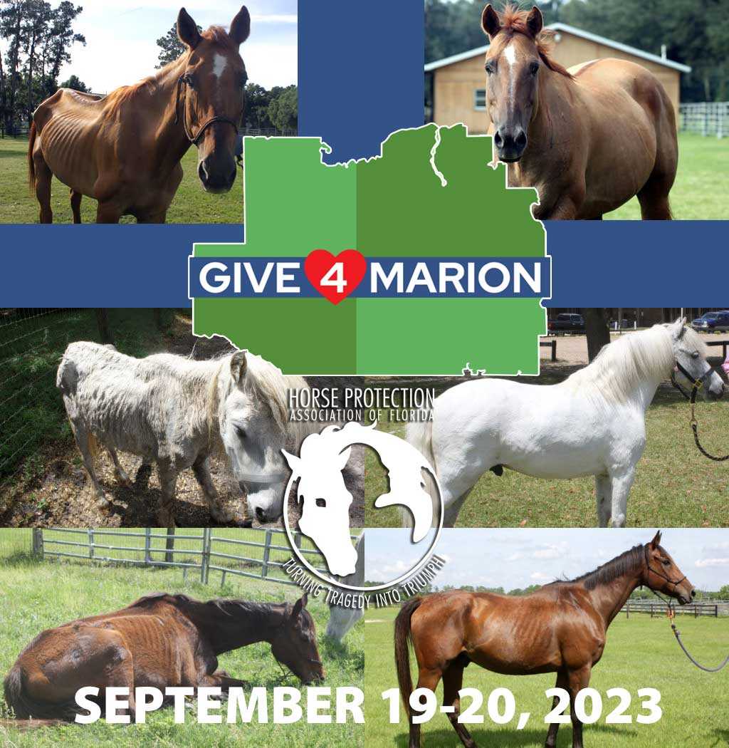 Give4Marion 2023